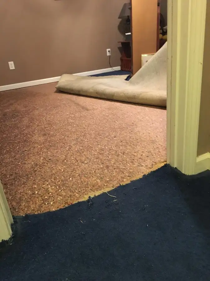 Carpet pad removal revealing water damage during Drying & Dehumidification in Edgewood